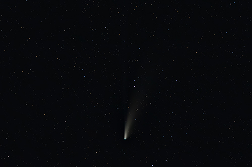 C/2020 F3 Comet Neowise © 2020 by Tobias Wittmann · wittinobi