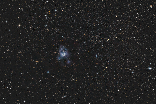 NGC7129 und NGC7142 © 2021 by Tobias Wittmann · wittinobi