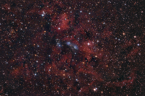 NGC6914 © 2021 by Tobias Wittmann · wittinobi