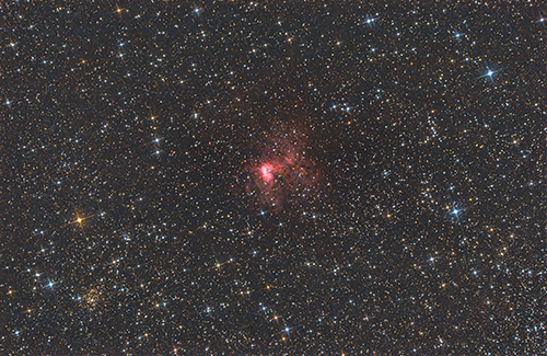 NGC1491 © 2021 by Tobias Wittmann · wittinobi
