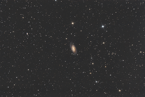 NGC2903 © 2022 by Tobias Wittmann · wittinobi