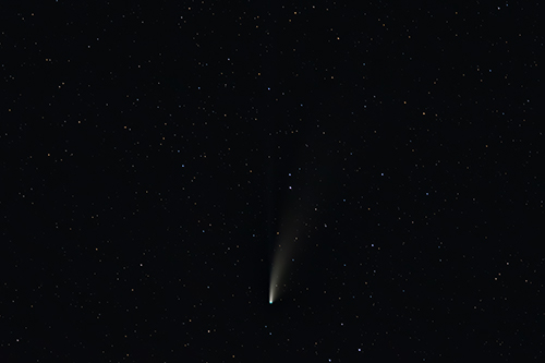 C/2020 F3 Comet Neowise © 2020 by Tobias Wittmann · wittinobi