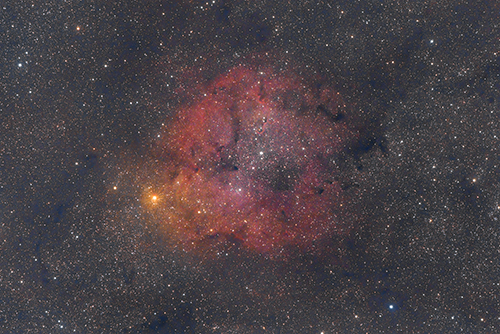 IC1396 © 2022 by Tobias Wittmann · wittinobi